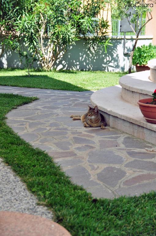 Villa Chiara Lazise Eksteriør billede
